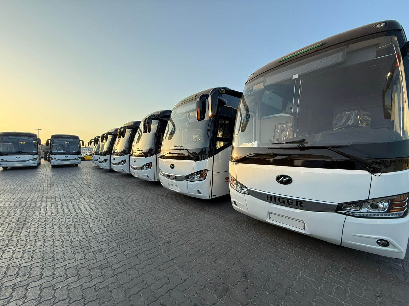 bus rental Higer 6129