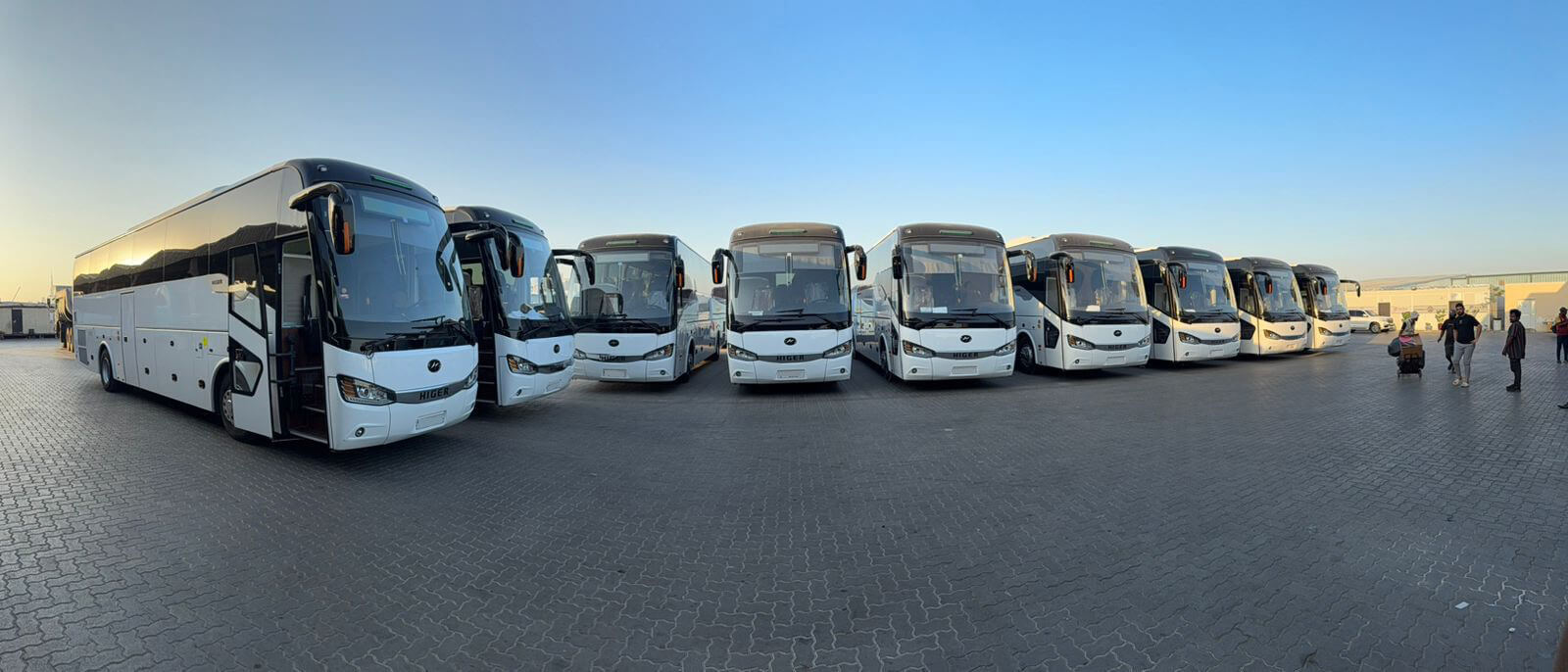 bus rental Higer 6129